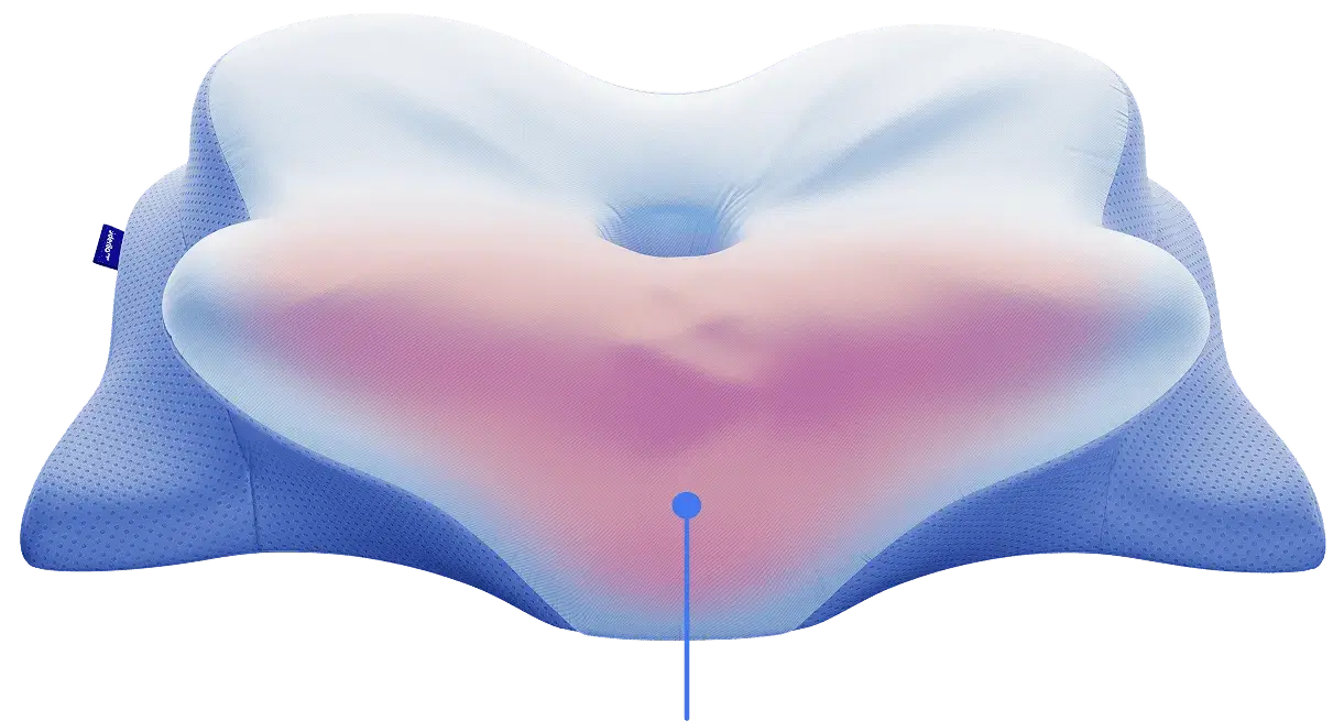 Derila Ergo Pillow Butterfly Contour Design with Support Zones